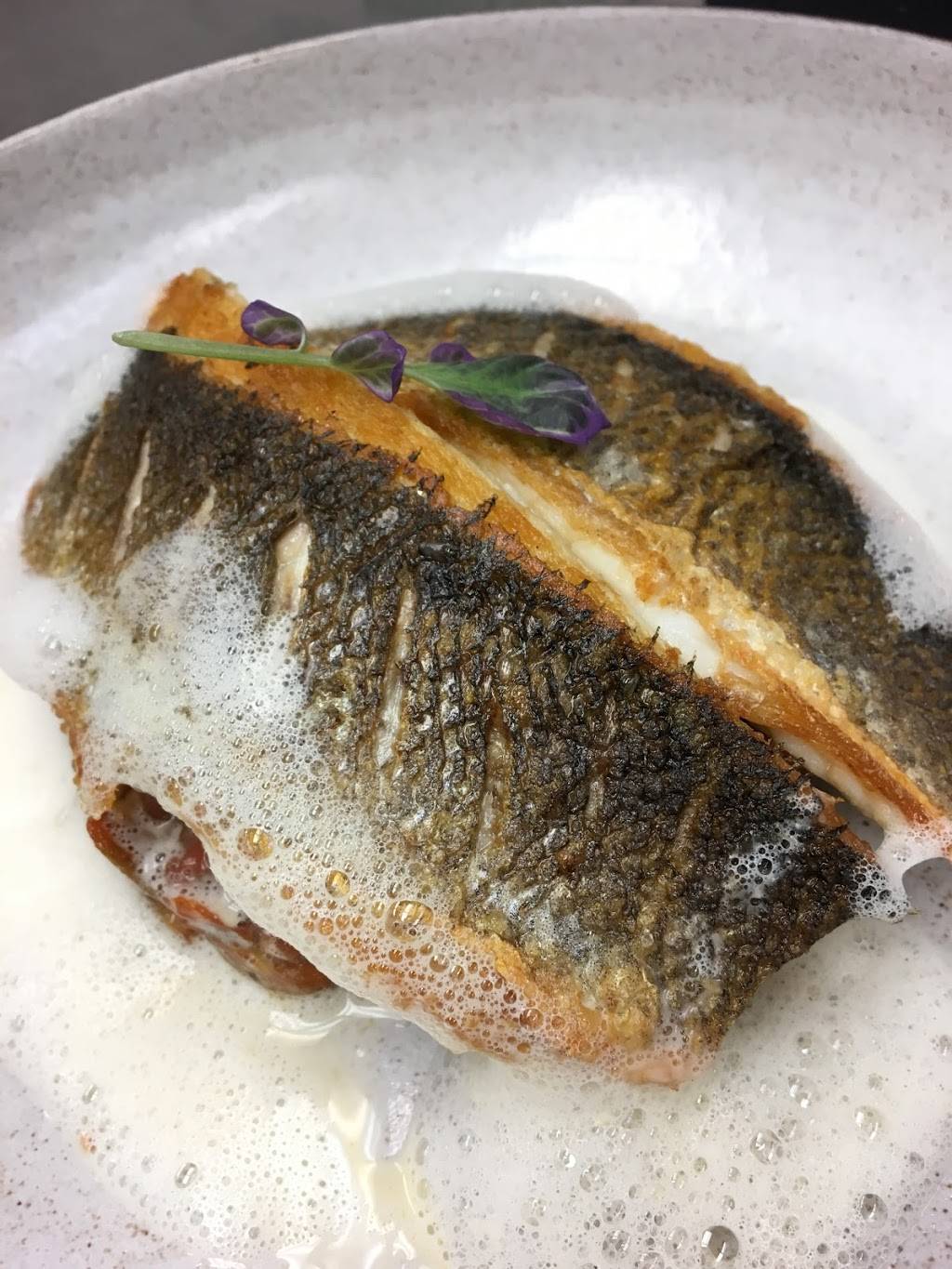 Canoe Club | restaurant | 89 Myrtle View St, Bluffton, SC 29910, USA | 8437066625 OR +1 843-706-6625