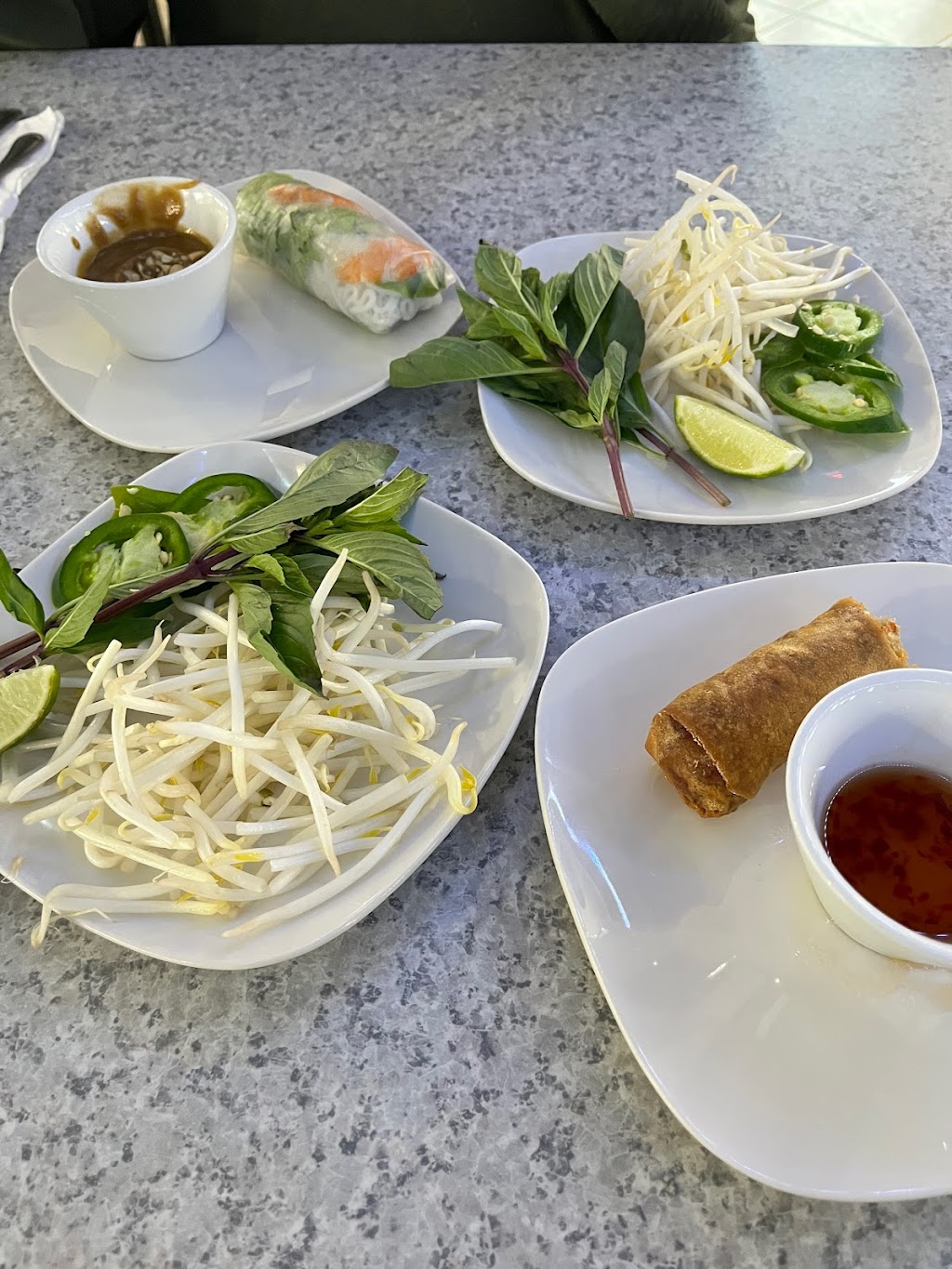 Pho Ever Vietnamese Cuisine | restaurant | 4290 Oberlin Ave, Lorain, OH 44053, USA | 4402420665 OR +1 440-242-0665