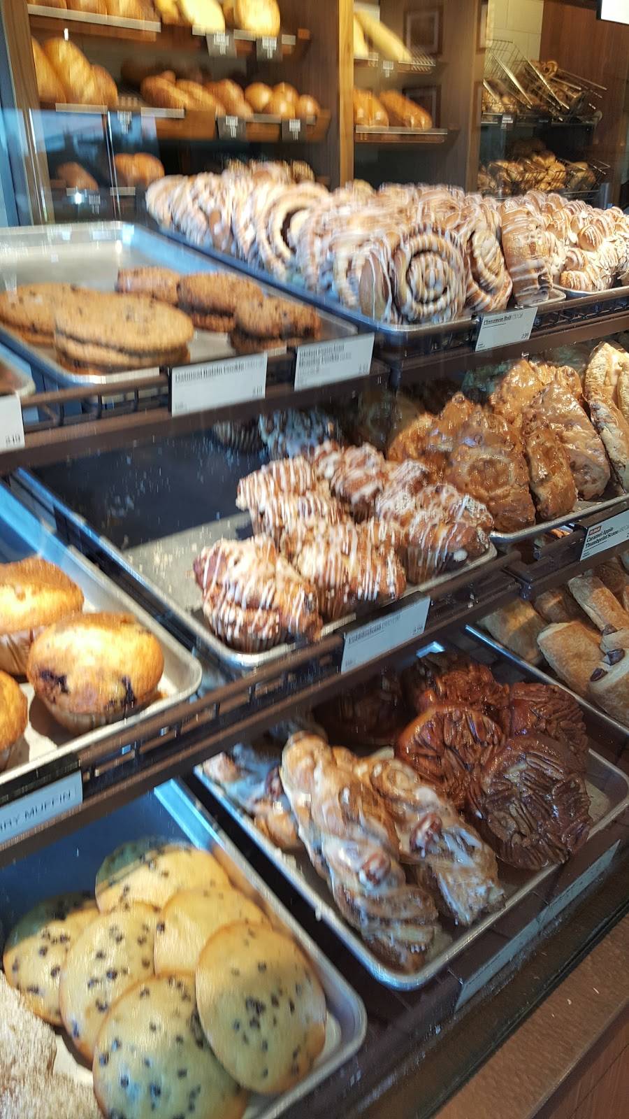 Panera Bread | cafe | 5897 Lone Tree Way, Antioch, CA 94531, USA | 9257555031 OR +1 925-755-5031