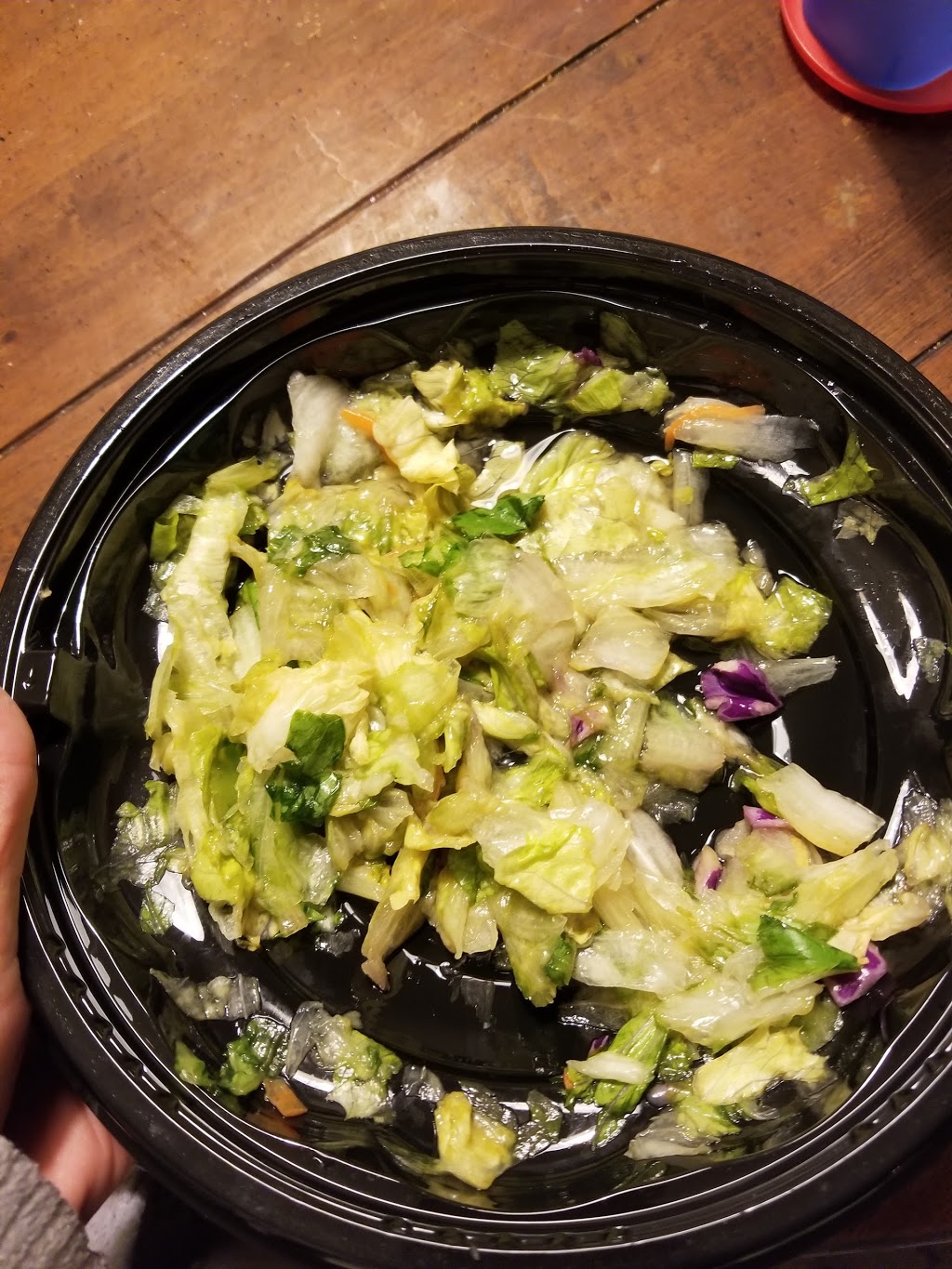 Dominos Pizza | meal delivery | 31 N Navy Blvd, Pensacola, FL 32507, USA | 8504531221 OR +1 850-453-1221