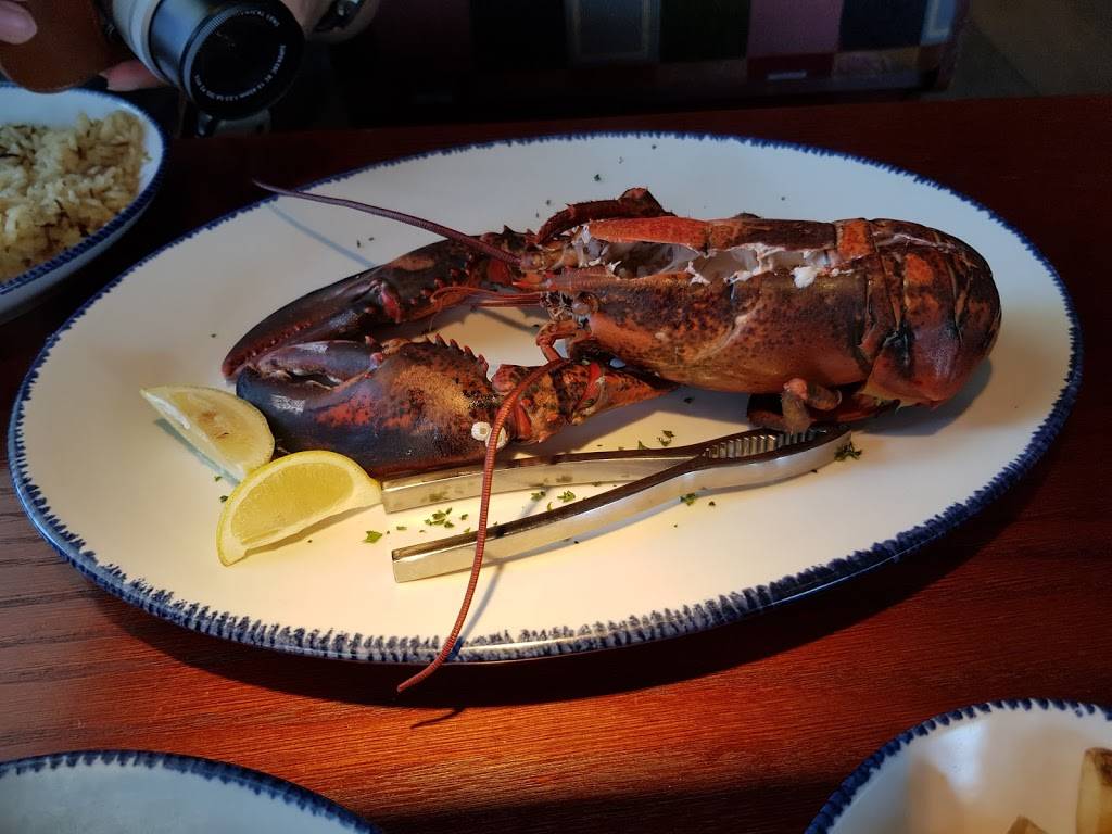 Red Lobster | restaurant | 1695 NW 87th Ave, Doral, FL 33172, USA | 3053925552 OR +1 305-392-5552