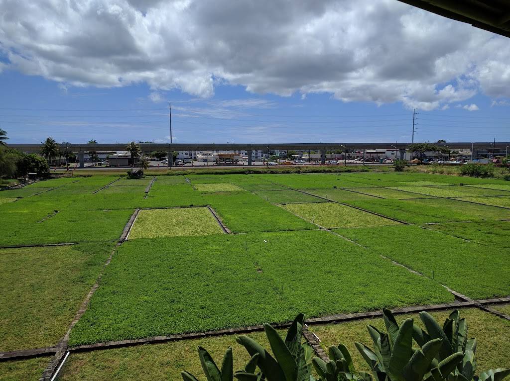 Monterey Bay Canners | restaurant | 98-1005 Moanalua Rd # Fs8, Aiea, HI 96701, USA | 8084833555 OR +1 808-483-3555