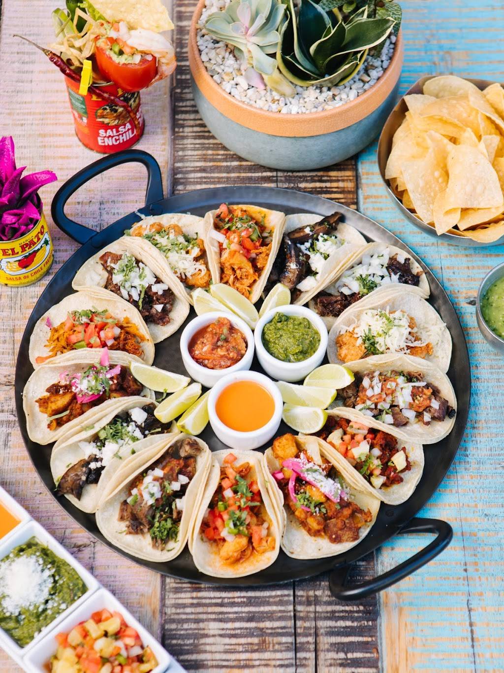 Wild Salsa | restaurant | 300 Throckmorton St, Fort Worth, TX 76102, USA | 6823163230 OR +1 682-316-3230