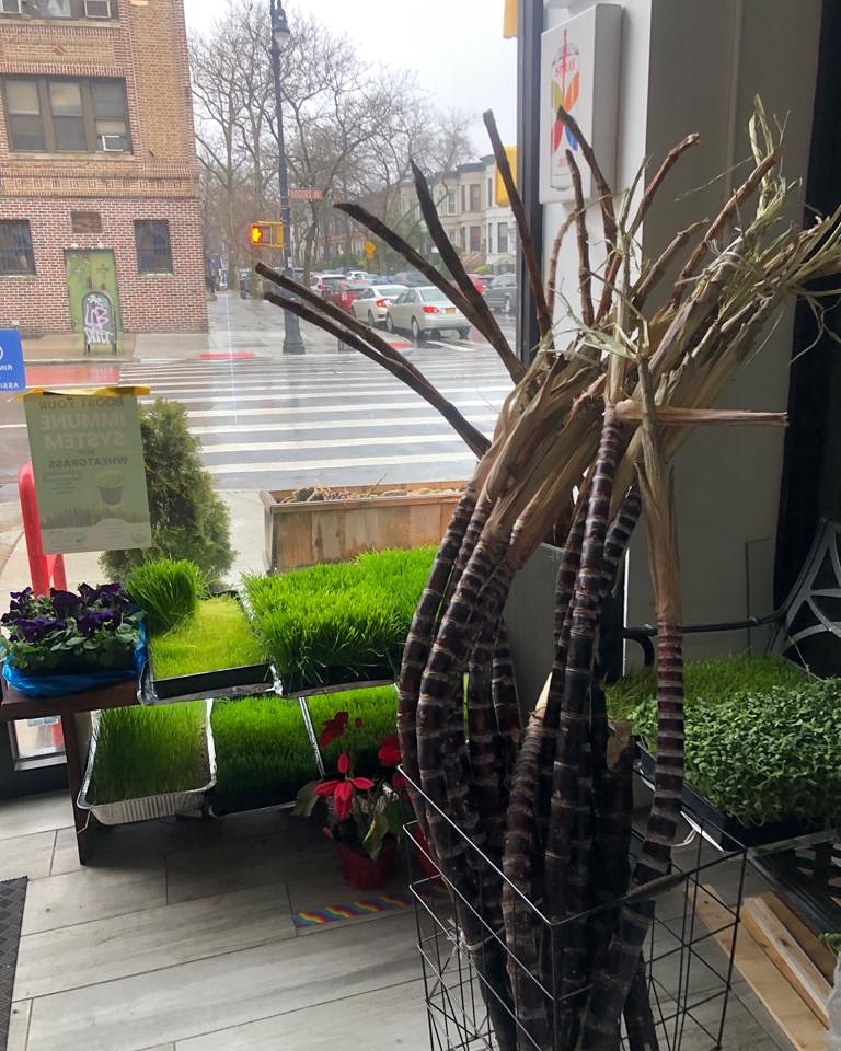 Pasa Pasa | restaurant | 404 Rogers Ave, Brooklyn, NY 11225, USA | 9176976948 OR +1 917-697-6948