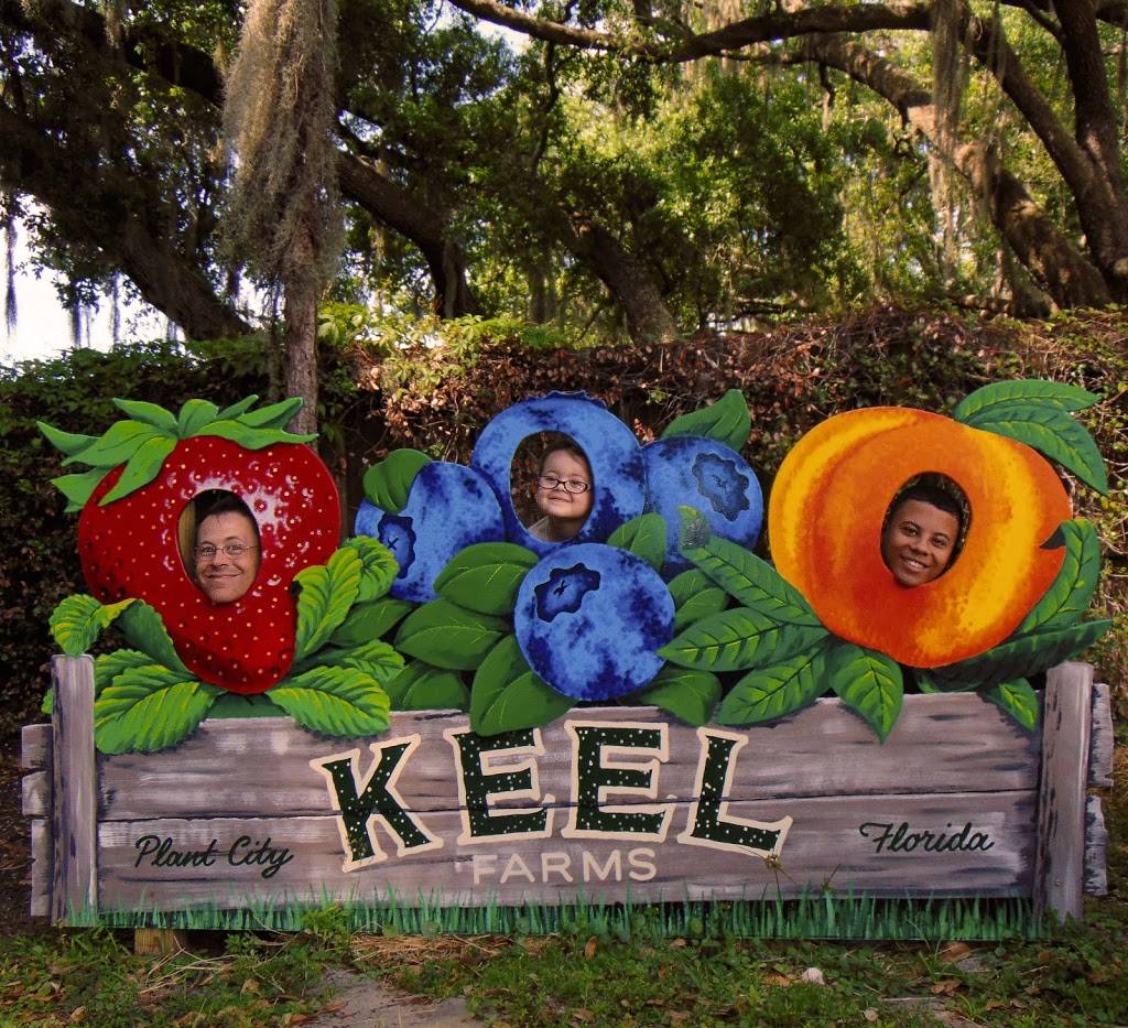 Keel Farms | restaurant | 5210 Thonotosassa Rd, Plant City, FL 33565, USA | 8137523892 OR +1 813-752-3892