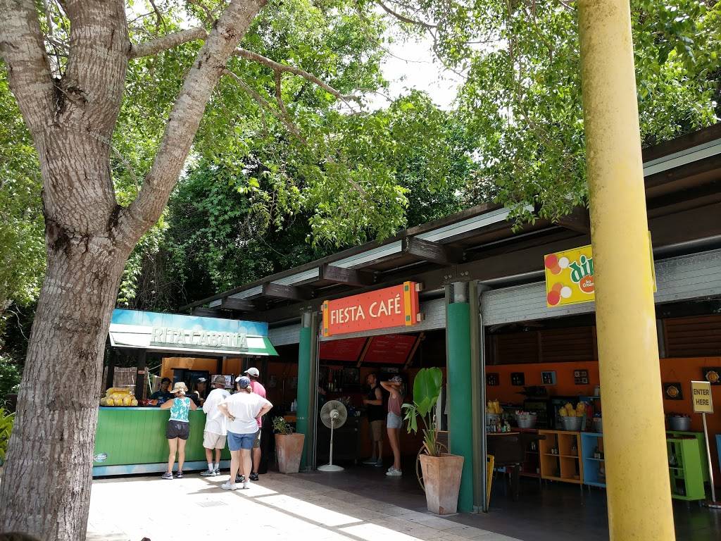 Fiesta Cafe | cafe | 12400 SW 152nd St, Miami, FL 33177, USA | 3052510400 OR +1 305-251-0400