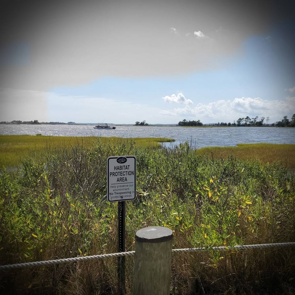 38 Degrees Bayside | restaurant | 26494 Crosswinds Landing, Selbyville, DE 19975, USA | 3024369998 OR +1 302-436-9998