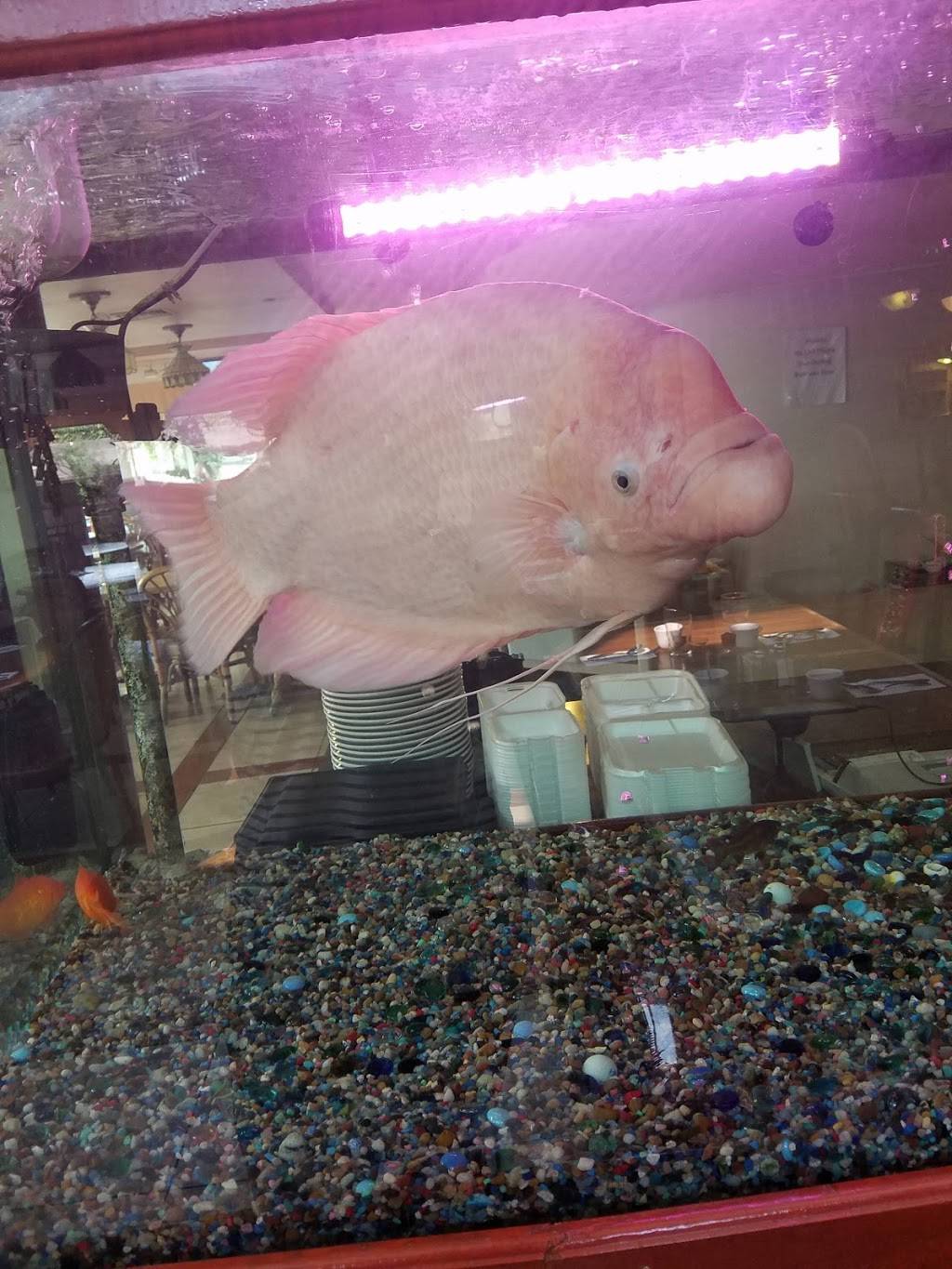 Hunan Palace | restaurant | 2821 Pacific Ave, Everett, WA 98201, USA | 4253393390 OR +1 425-339-3390