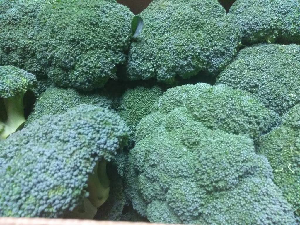 May Luck Kitchen | restaurant | 14911 Jamaica Ave, Jamaica, NY 11435, USA | 7186580917 OR +1 718-658-0917