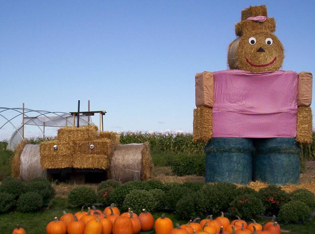 Keppelers | restaurant | 3211 Co Rd 6, Edgerton, OH 43517, USA | 4195192669 OR +1 419-519-2669