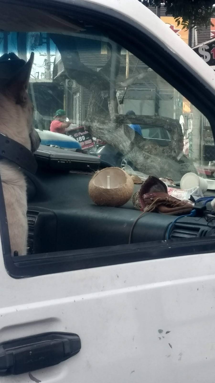 El Pandita | restaurant | 22703, Blvd. Benito Juárez 402, Echeverria, 22703 Rosarito, B.C., Mexico | 016611002219 OR +52 661 100 2219