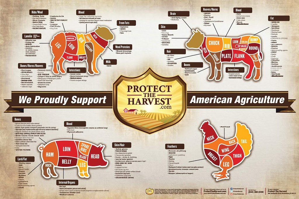 Smokin Franks BBQ | restaurant | 638 Providence Way, Clarksville, IN 47129, USA | 5027626553 OR +1 502-762-6553