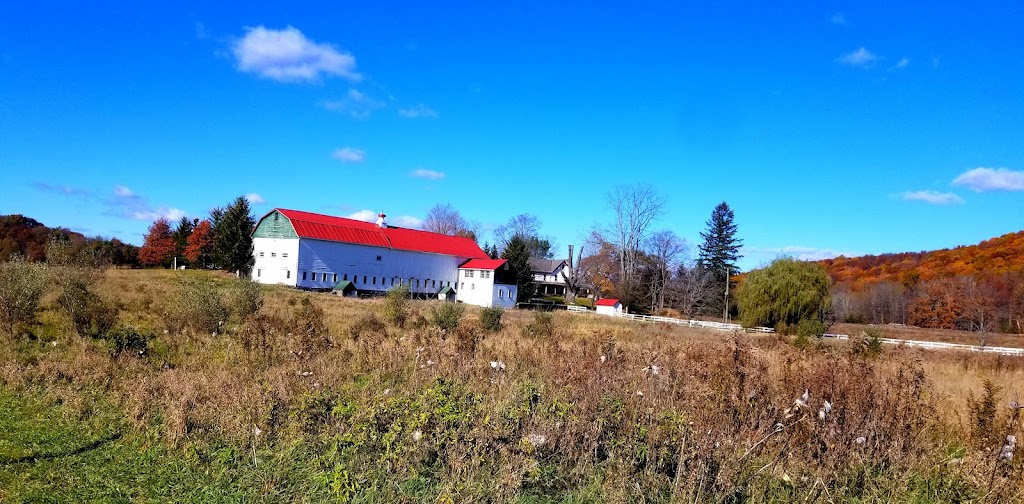 Océane Vineyards and Winery | meal takeaway | 1661 Kings Hwy, Chester, NY 10918, USA | 8456105454 OR +1 845-610-5454