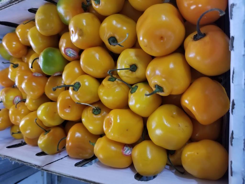 EL TORITO DE SAN MARCOS | restaurant | 505 Bridgeville Hwy, Seaford, DE 19973, United States | 3025367651 OR +1 302-536-7651