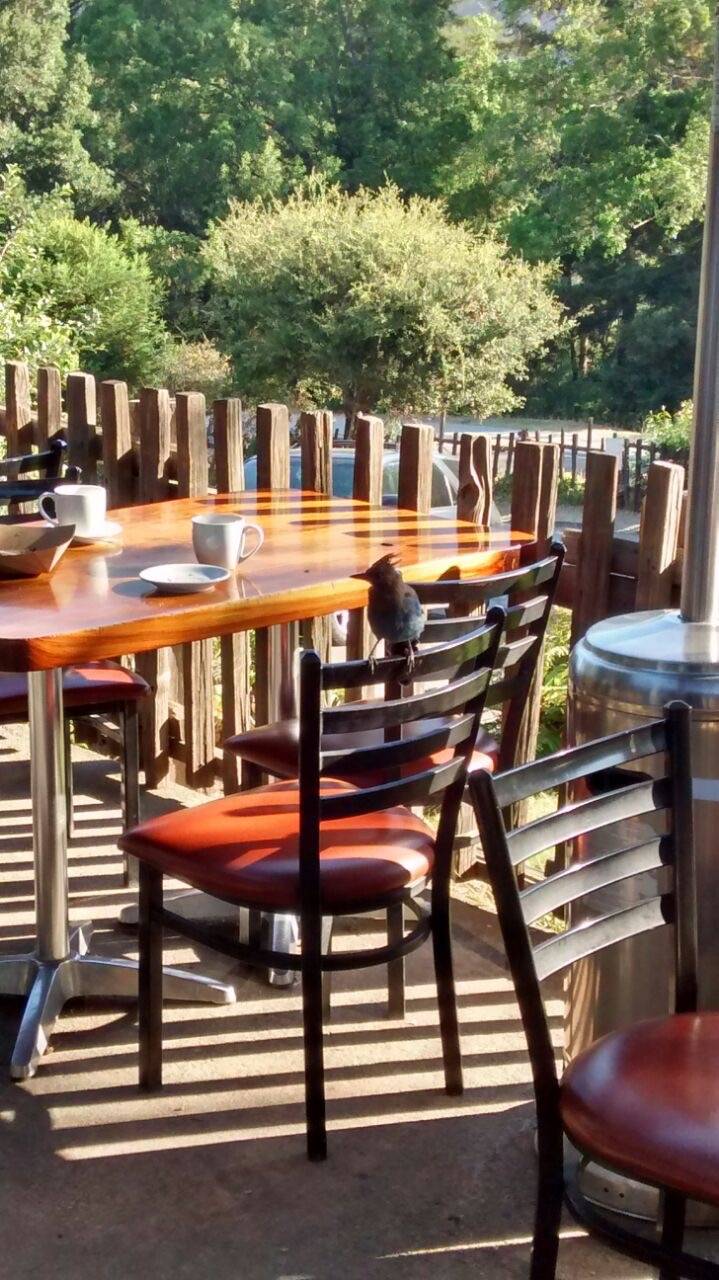 Big Sur Bakery | bakery | 47540 CA-1, Big Sur, CA 93920, USA | 8316670520 OR +1 831-667-0520