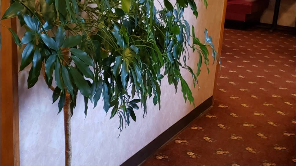 Chiu Fai | restaurant | 1102 Paris Rd # 11, Mayfield, KY 42066, USA | 2702478828 OR +1 270-247-8828