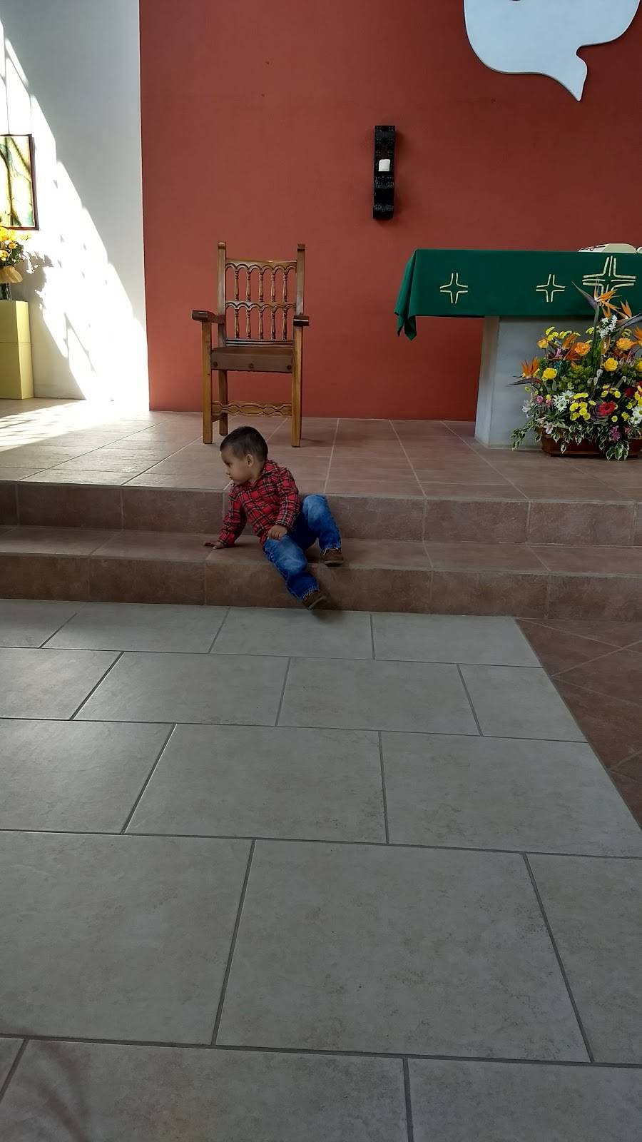 La Comadre Restaurante Tacos | restaurant | Calle Octava 428, Territorio Sur, 22860 Ensenada, B.C., Mexico | 016461740404 OR +52 646 174 0404