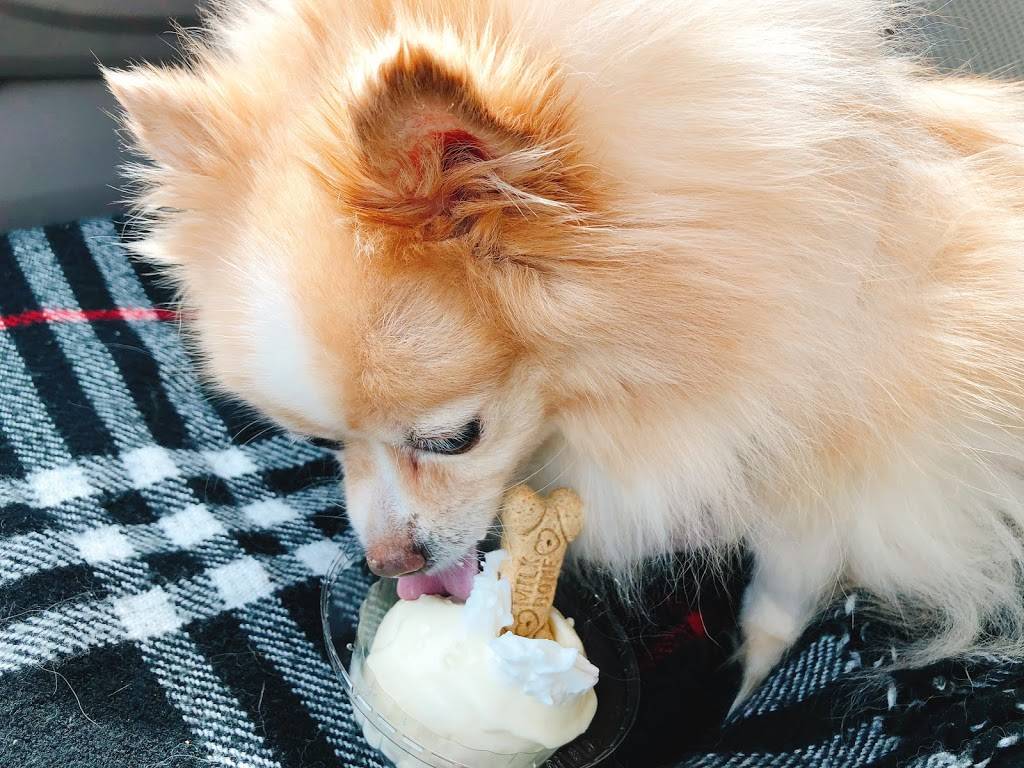 Freddys Frozen Custard & Steakburgers (Canton) | restaurant | 5441 Whipple Ave NW, North Canton, OH 44720, USA | 3305268202 OR +1 330-526-8202