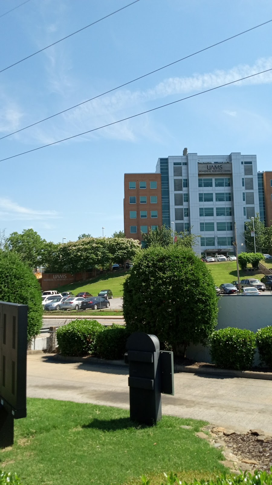 Burger King | restaurant | 4015 W Markham St, Little Rock, AR 72205, USA | 5016633115 OR +1 501-663-3115