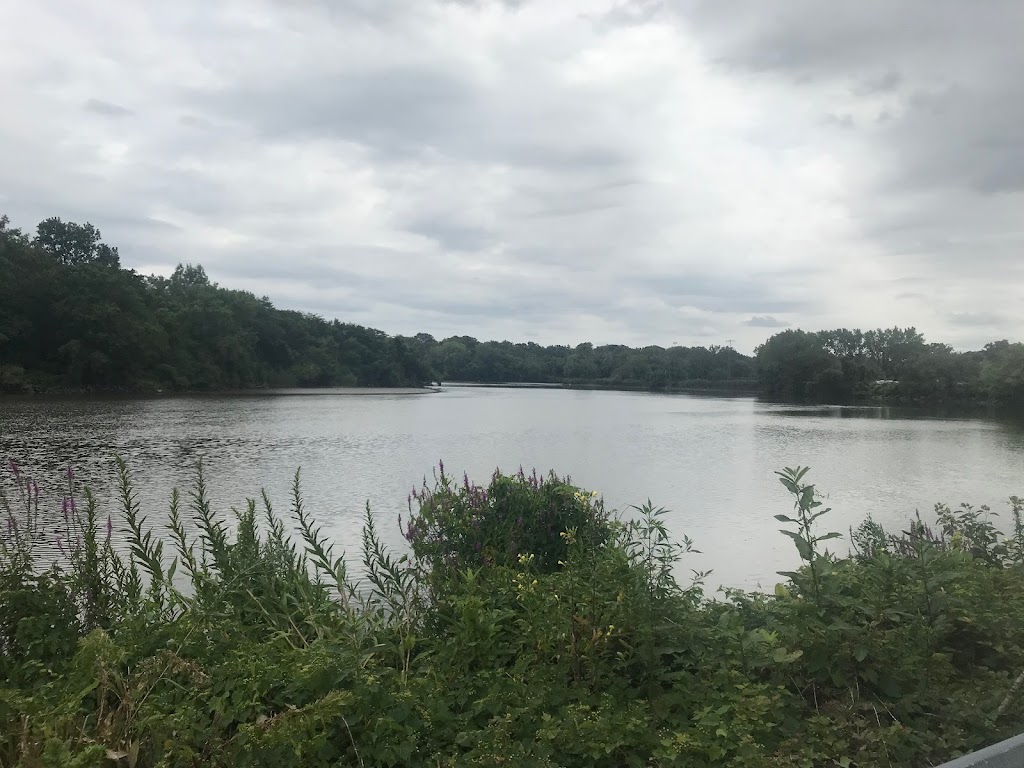 Dim Sum Station | restaurant | 366 River St, Hackensack, NJ 07601, USA | 2017425454 OR +1 201-742-5454