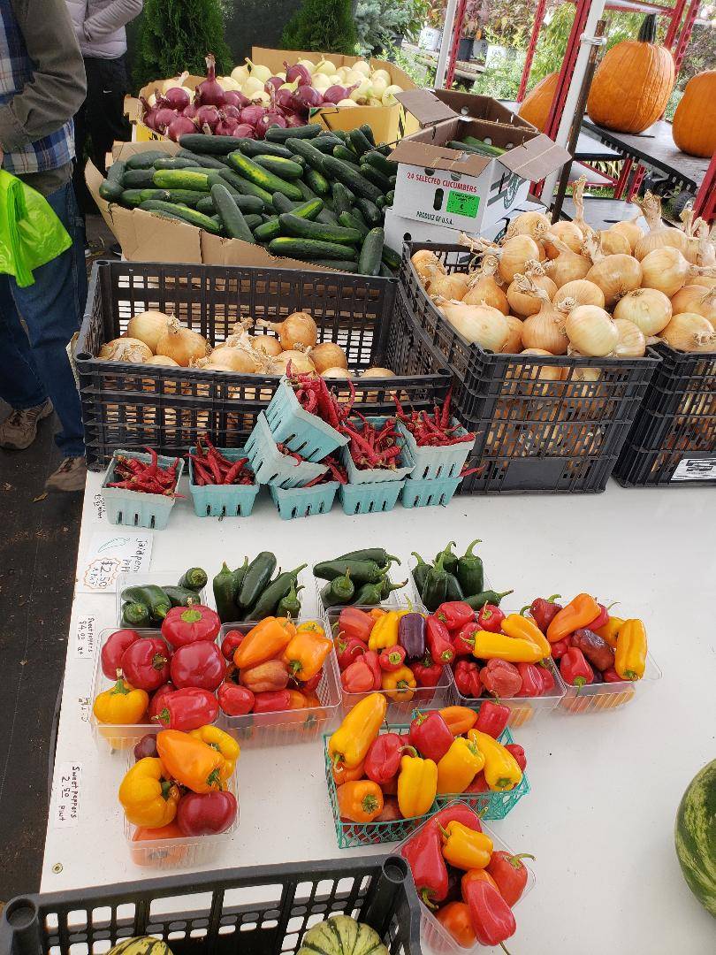 Grand Traverse Salad Company | restaurant | 2500 W South Airport Rd, Traverse City, MI 49684, USA | 2316425900 OR +1 231-642-5900