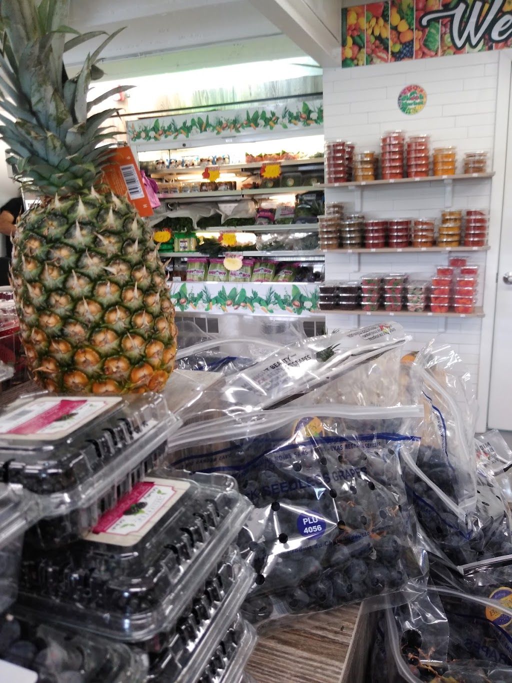 Shook Market | night club | 2613 Stirling Rd, Fort Lauderdale, FL 33312, USA | 7548889879 OR +1 754-888-9879