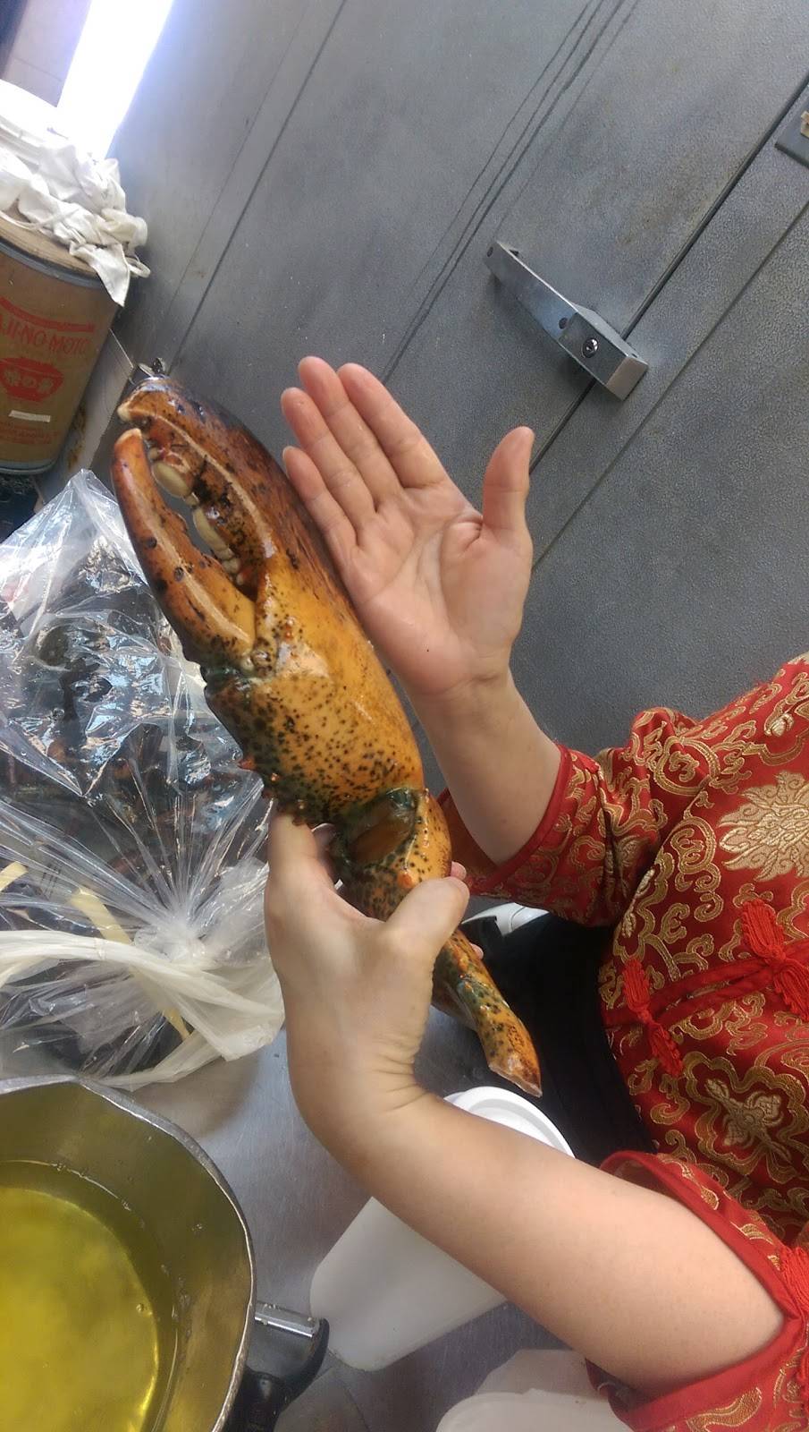 Moon Star | restaurant | 3218 E Main St, Endicott, NY 13760, USA | 6077546778 OR +1 607-754-6778