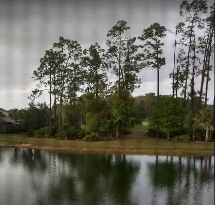 The Club at Pelican Preserve | restaurant | 9802 Pelican Preserve Blvd, Fort Myers, FL 33913, USA | 2399851707 OR +1 239-985-1707