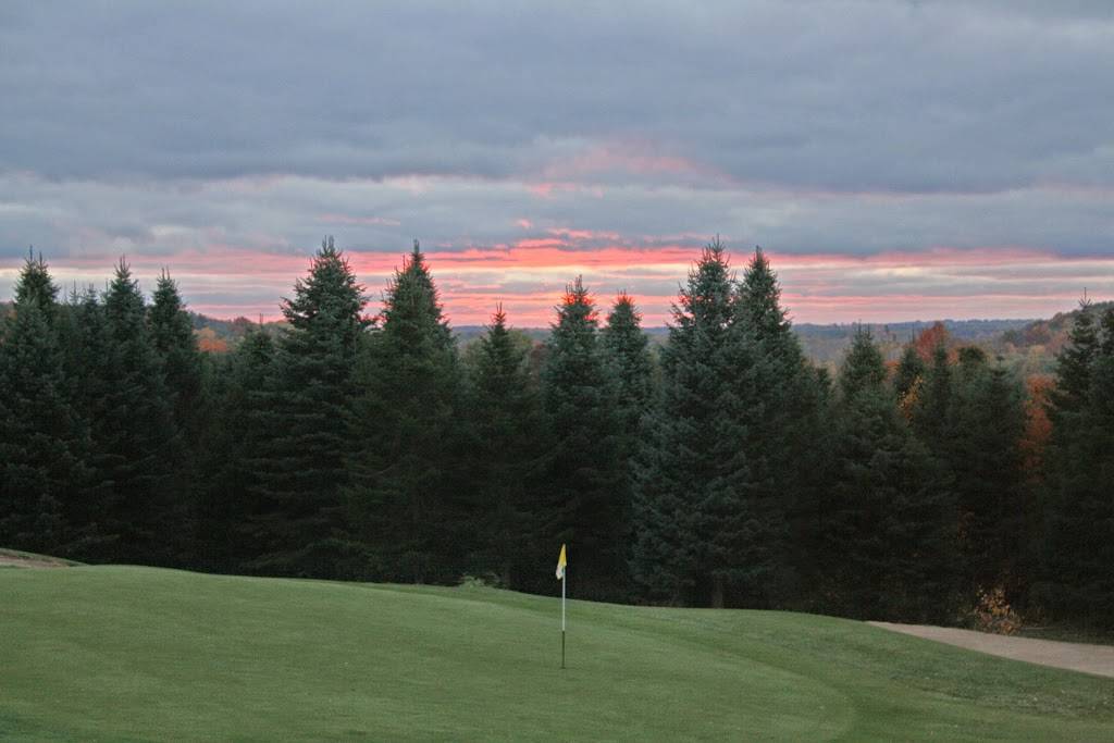 LYNX GC | restaurant | 900 Lincoln Rd, Otsego, MI 49078, USA | 2696945969 OR +1 269-694-5969