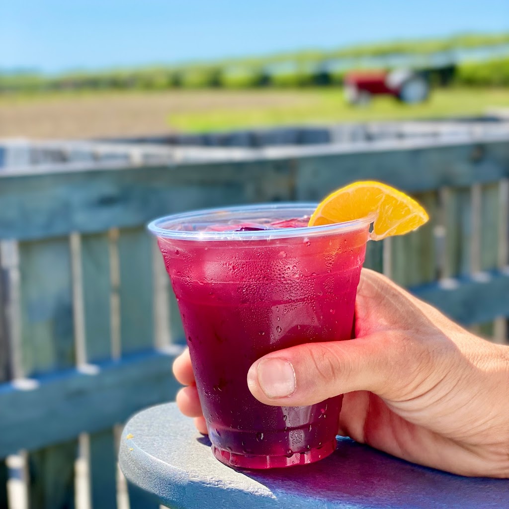 The Lookout Outdoor Dining at Lookout Farm | restaurant | 89 Pleasant St S, Natick, MA 01760, USA | 5087453697 OR +1 508-745-3697