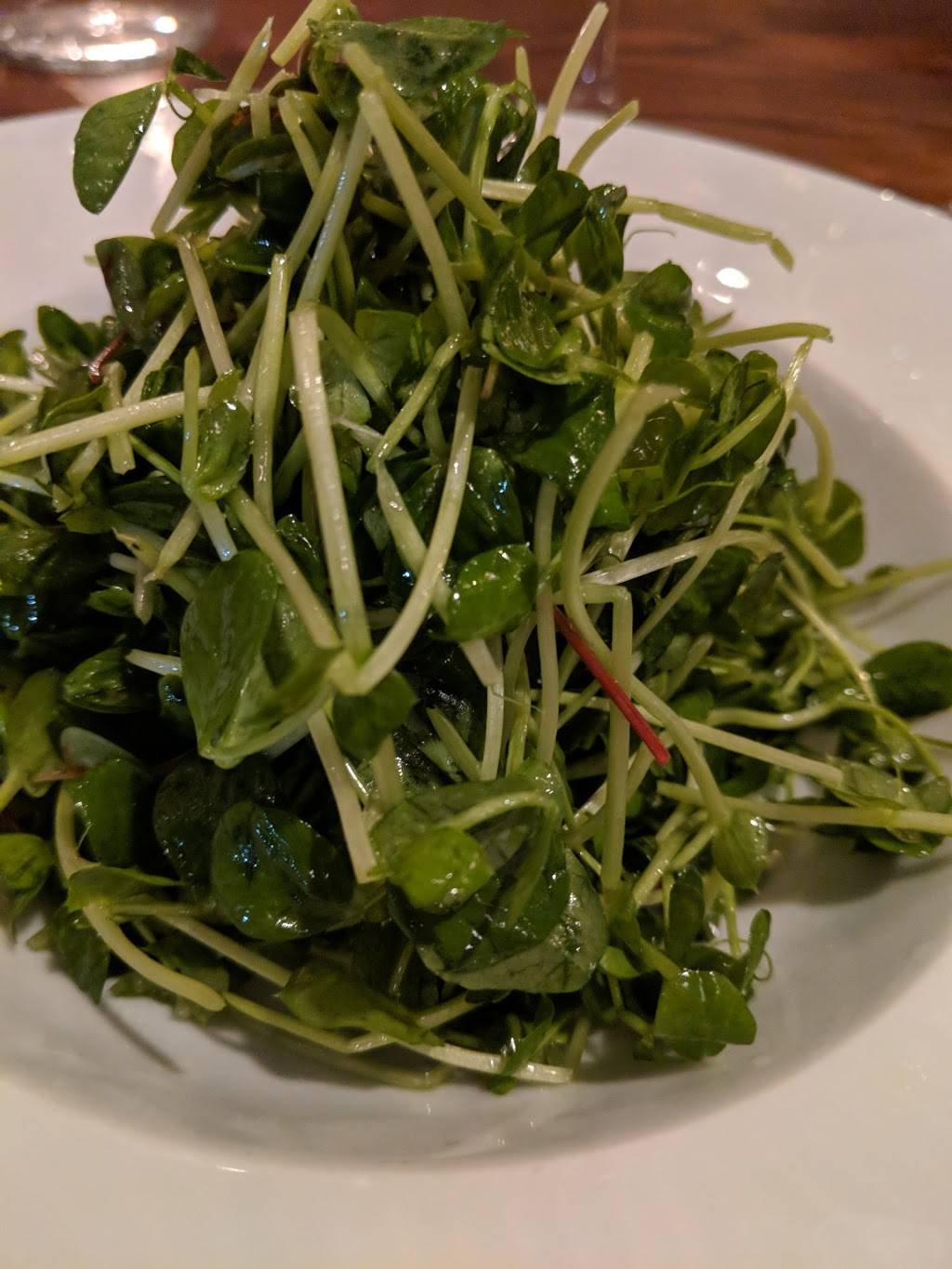 Stage Left Steak | restaurant | 5 Livingston Ave, New Brunswick, NJ 08901, USA | 7328284444 OR +1 732-828-4444