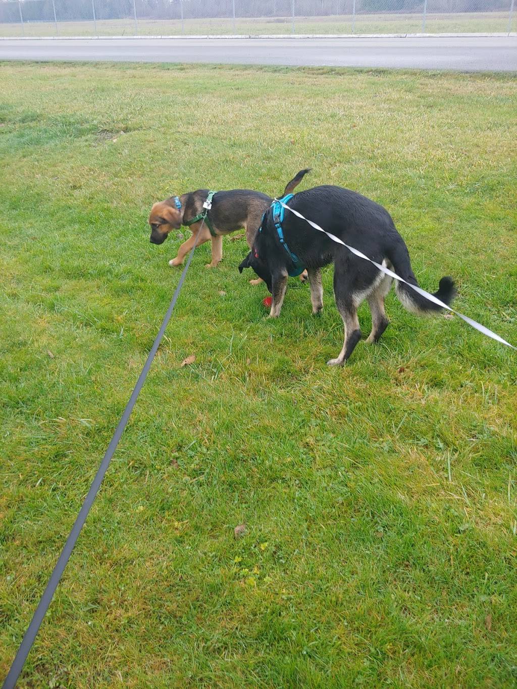 Costco Food Court | meal takeaway | 1725 S Burlington Blvd, Burlington, WA 98233, USA | 3607575719 OR +1 360-757-5719