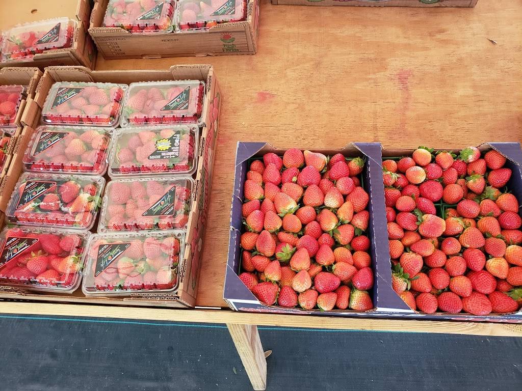 Yummy Farms 4404 Hwy. 92 W. Plant City, FL 33566 | restaurant | 5261-5365 W Hillsborough Ave, Plant City, FL 33563, USA | 8134782584 OR +1 813-478-2584