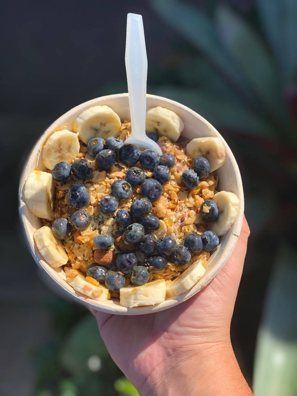 Raw Jūce | restaurant | 2616 PGA Boulevard, Palm Beach Gardens, FL 33410, USA | 5616092872 OR +1 561-609-2872