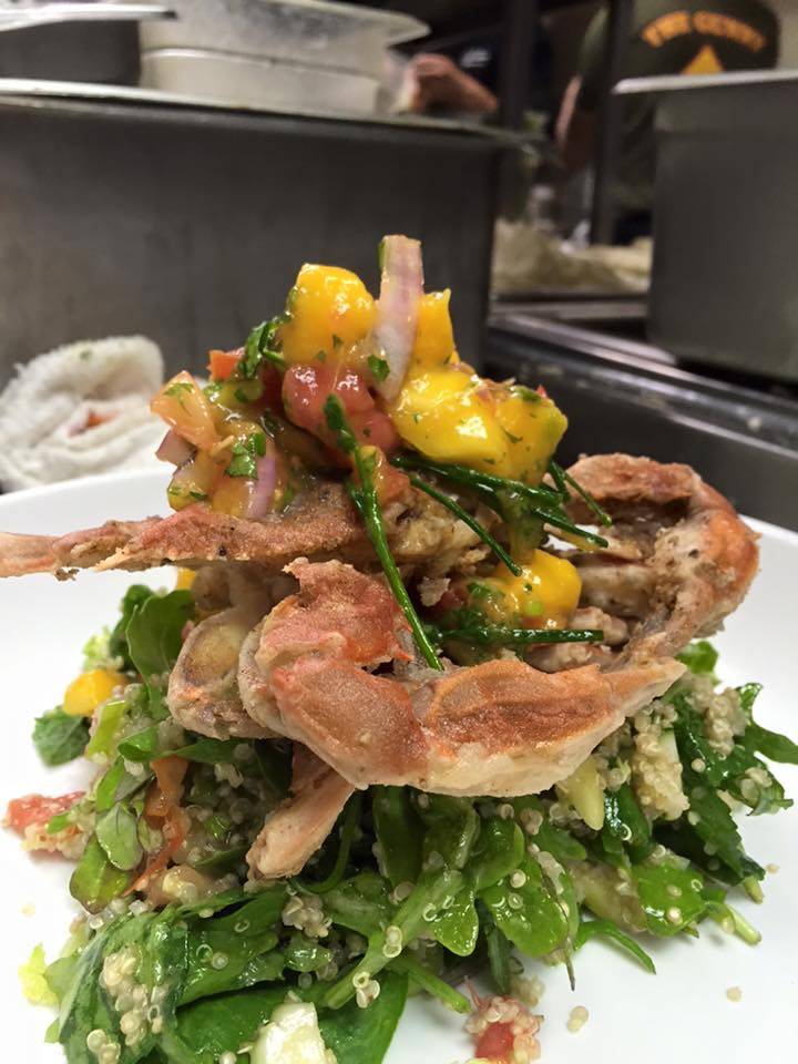 DiFebo’s Restaurant Rehoboth | restaurant | 12 N 1st St, Rehoboth Beach, DE 19971, USA | 3022264550 OR +1 302-226-4550