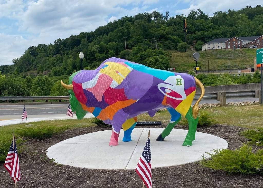 Taco Bell | meal takeaway | 100 Kinetic Dr, Huntington, WV 25701, USA | 6814320045 OR +1 681-432-0045