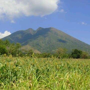 Panaderia Latina | restaurant | 2005 James M Wood Blvd # 105, Los Angeles, CA 90006, USA | 2133878482 OR +1 213-387-8482