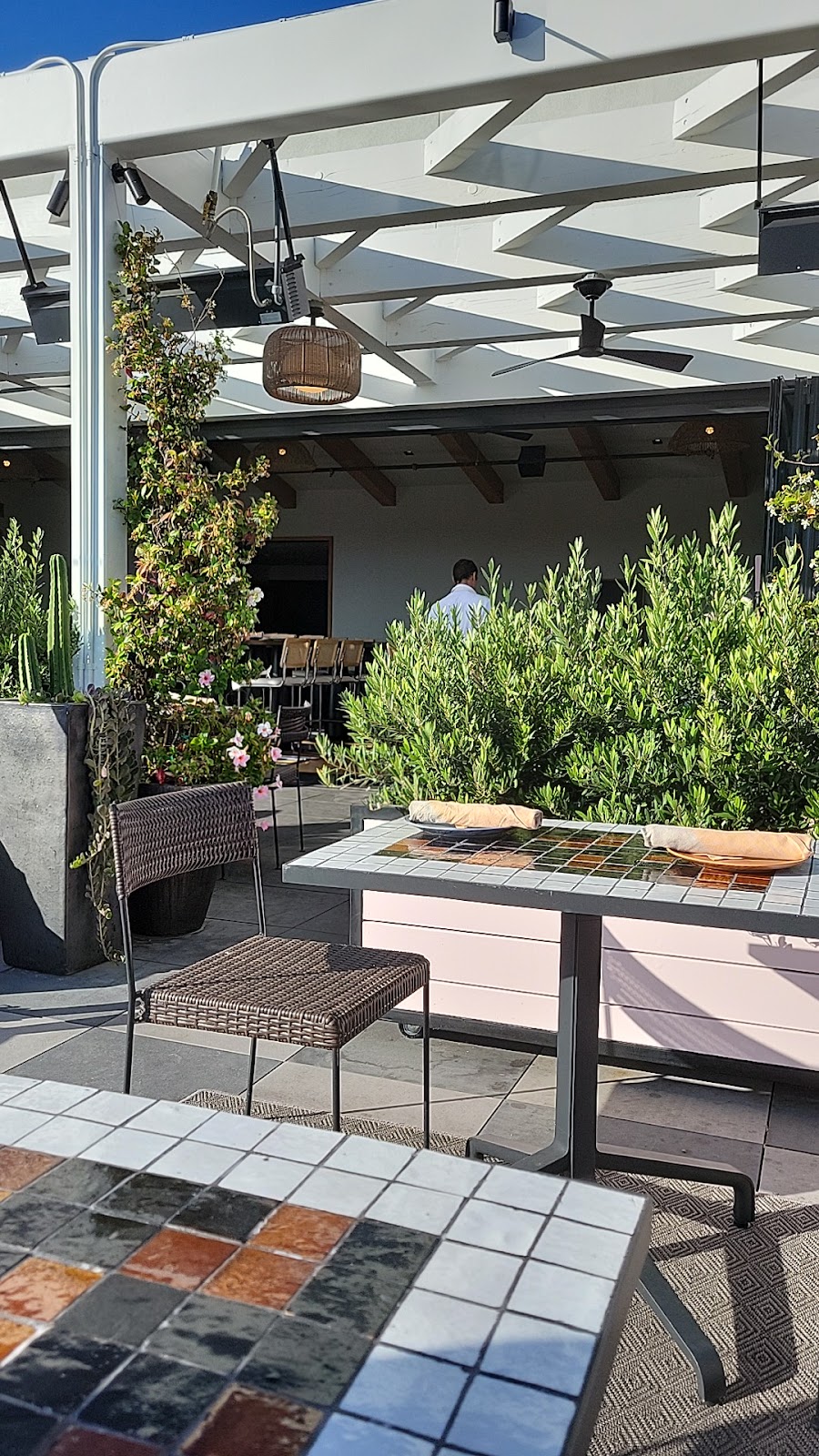 Canopy Club | restaurant | 8801 Washington Blvd, Culver City, CA 90232, USA | 2093647541 OR +1 209-364-7541