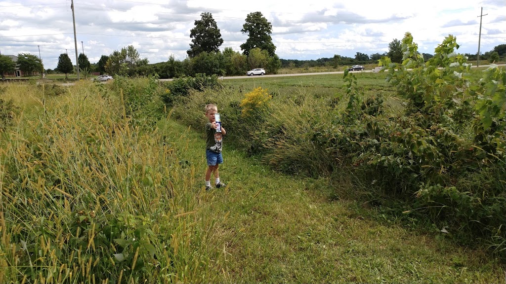 Blakes Backyard Almont | bakery | 5600 Van Dyke Rd, Almont, MI 48003, USA | 8107983251 OR +1 810-798-3251