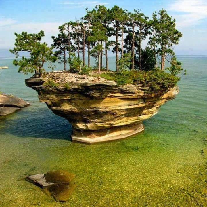 Buffalo Wild Wings | restaurant | 3209 Stadium Dr, Kalamazoo, MI 49008, USA | 2693539464 OR +1 269-353-9464