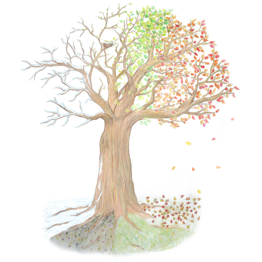 Turning Leaf Massage And Spa | restaurant | 1531 19th Ave, Moline, IL 61265, USA | 3097571111 OR +1 309-757-1111