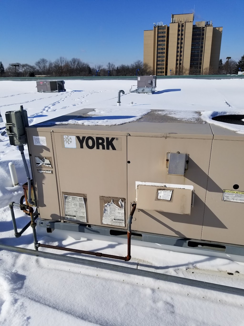 White Dragon Hall | restaurant | 1600 White Bear Ave, St Paul, MN 55106, USA | 6515288802 OR +1 651-528-8802