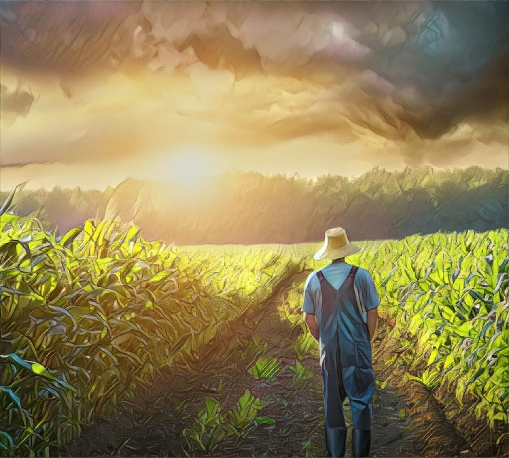 Applegate Country Club | restaurant | 15090 OR-238 Hwy 238, Applegate, OR 97530, USA | 5418461666 OR +1 541-846-1666