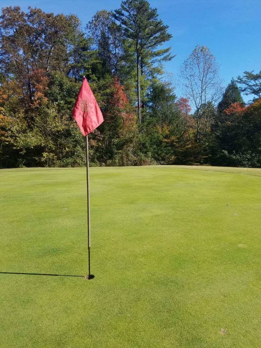 Wild Laurel Golf Course | restaurant | 702 Country Club Dr, Townsend, TN 37882, USA | 8657383134 OR +1 865-738-3134