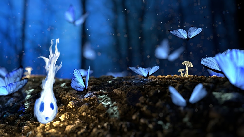 Whimsy Supper Club | bakery | 4924 Bellfountain Rd, Corvallis, OR 97333, USA | 9718081105 OR +1 971-808-1105