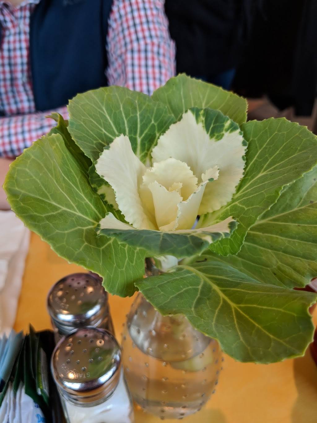 Half Day Cafe | restaurant | 8825 Wilkens Blvd, Mason, OH 45040, USA | 5132041965 OR +1 513-204-1965