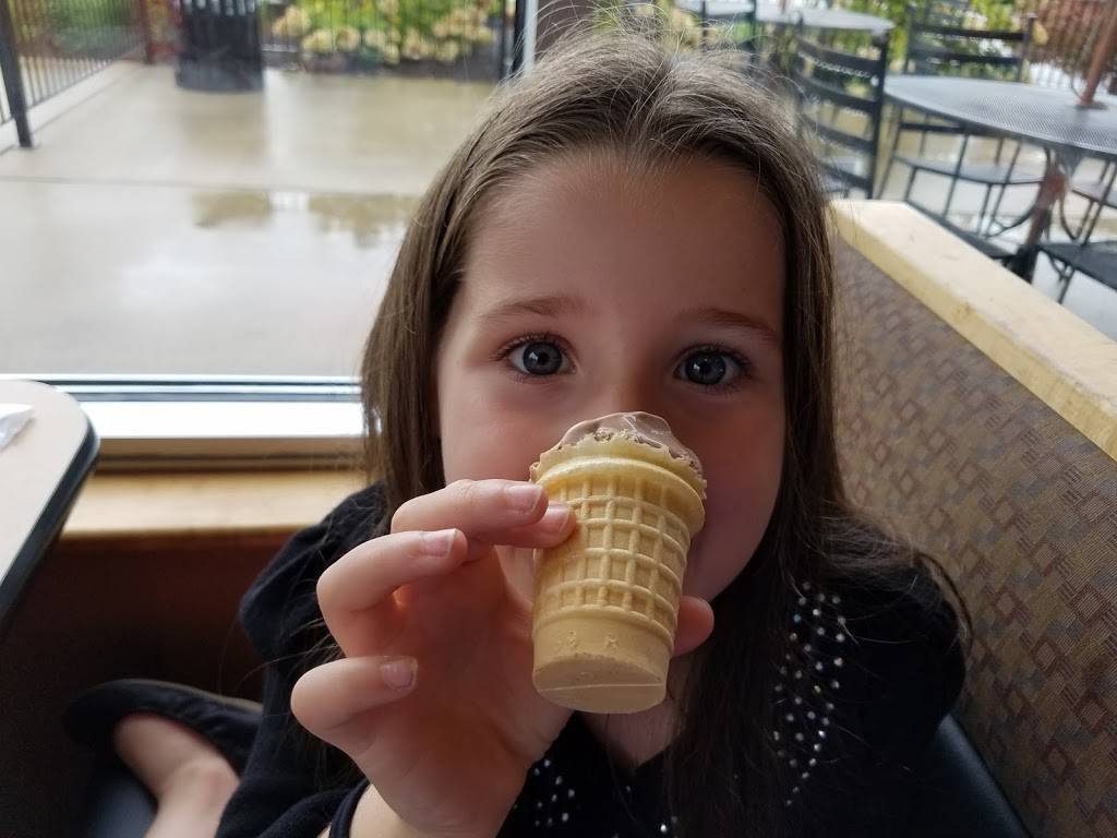 Dairy Queen Grill & Chill | restaurant | 4717 Meijer Ct, Lafayette, IN 47905, USA | 7654487979 OR +1 765-448-7979