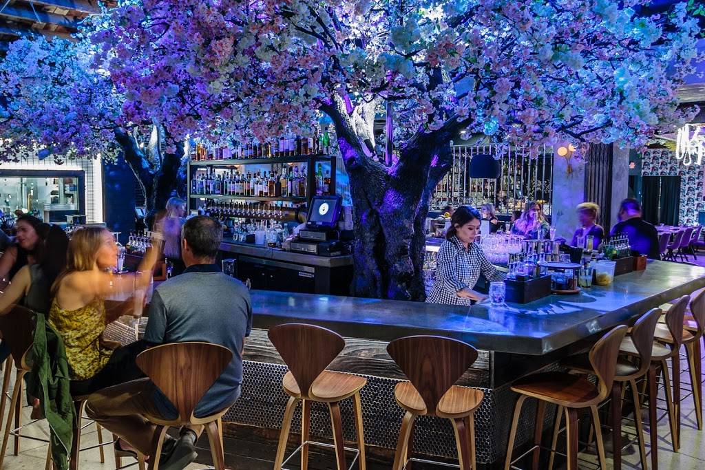 Cloak & Petal | restaurant | 1953 India St, San Diego, CA 92101, USA | 6195015505 OR +1 619-501-5505