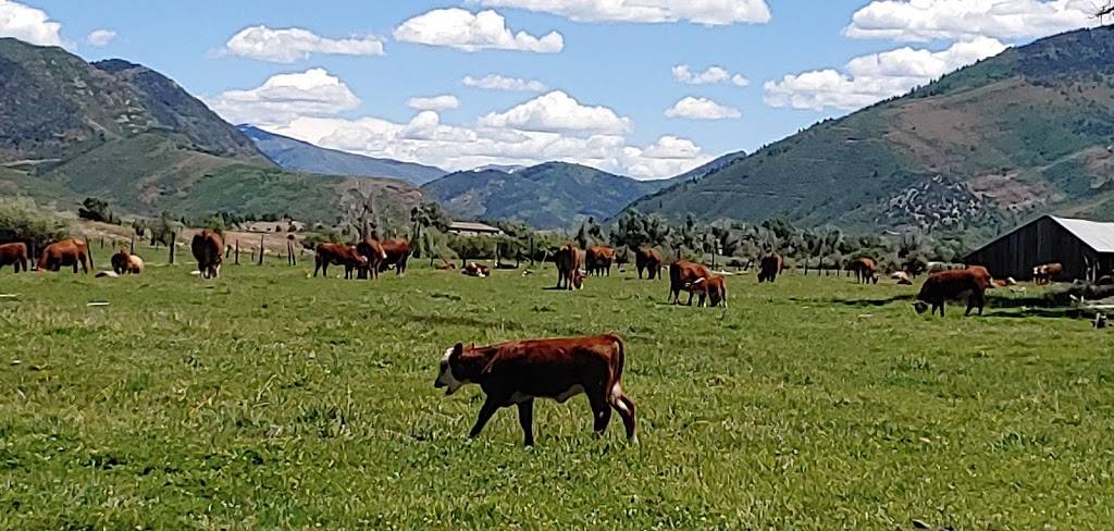 Oakley Polar King | restaurant | 4657 UT-32, Oakley, UT 84055, USA | 4357835525 OR +1 435-783-5525