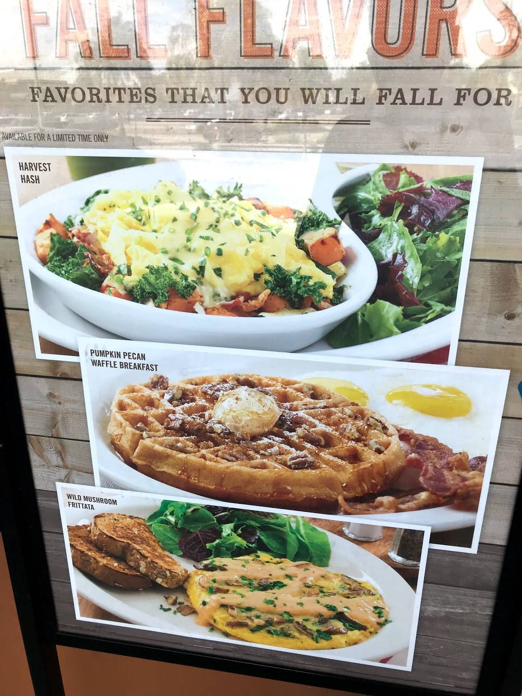 The Eggceptional Cafe | restaurant | 2447 N Wickham Rd, Melbourne, FL 32935, USA | 3214284629 OR +1 321-428-4629